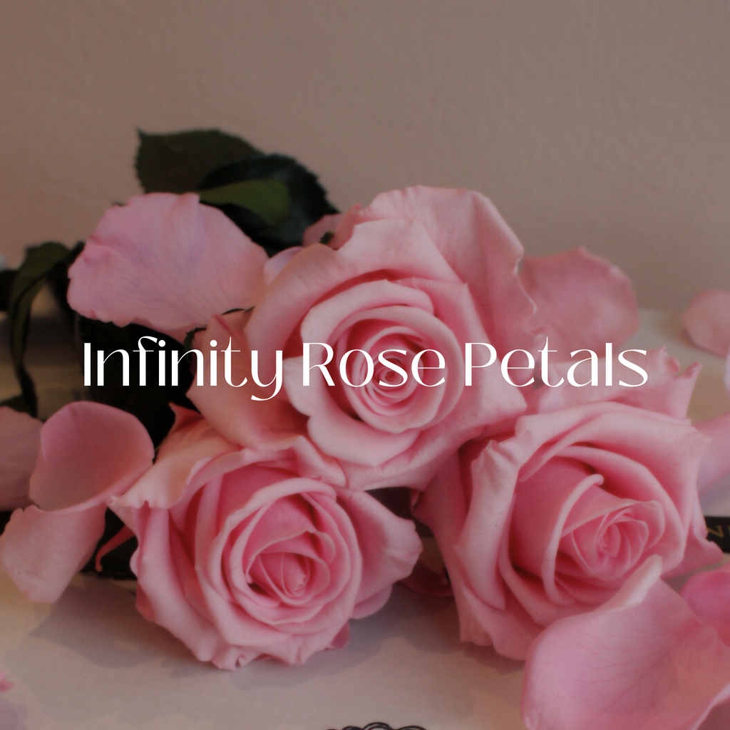 The Petal Collection