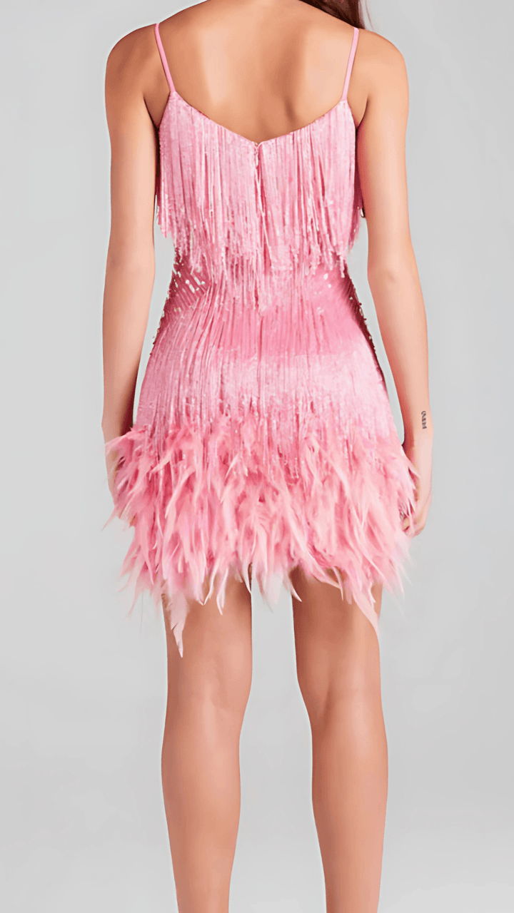 Women's Cocktail Sequin Fringe V Neck Mini Dress