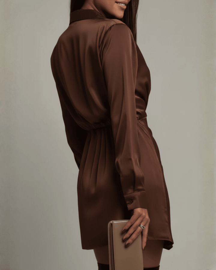 Women's Cocktail Long Sleeve Wrap Mini Dress