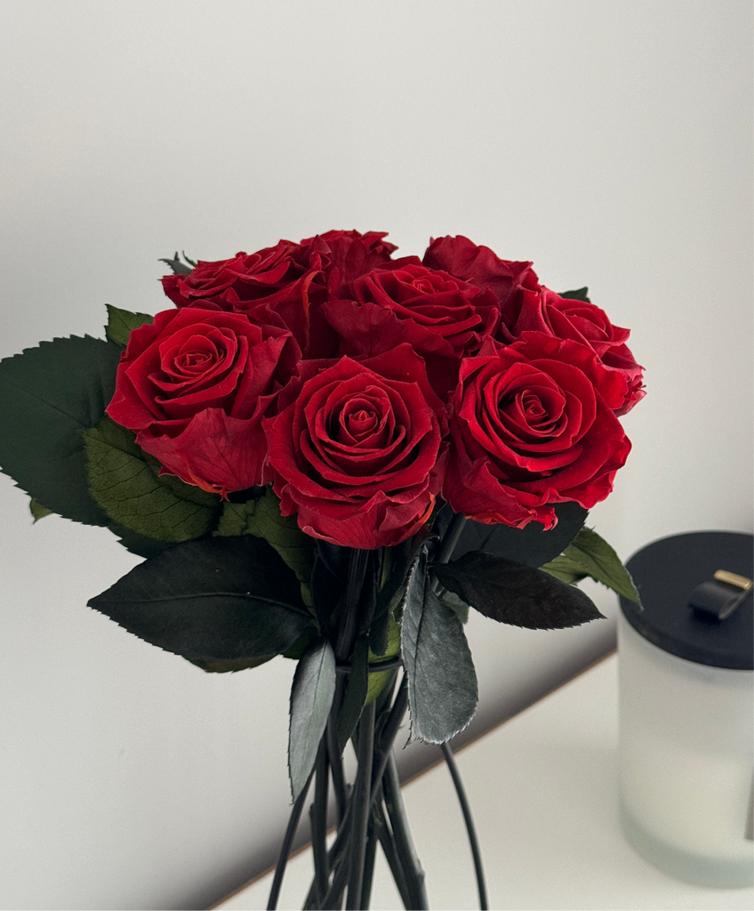 Red preserved infinity roses with deep, rich petals that retain their natural texture and vibrant color. The roses exude timeless elegance, showcasing their fresh, velvety appearance and long-lasting beauty.