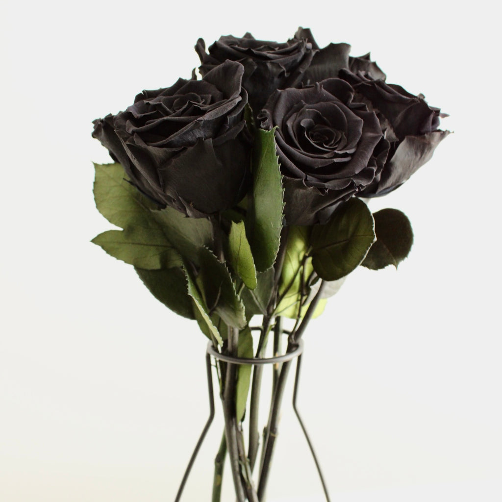 Black preserved long stem eternity roses with smooth, velvety petals in a rich, deep black. The roses maintain their natural beauty and elegant appearance, offering a striking and lasting touch for any arrangement or display.