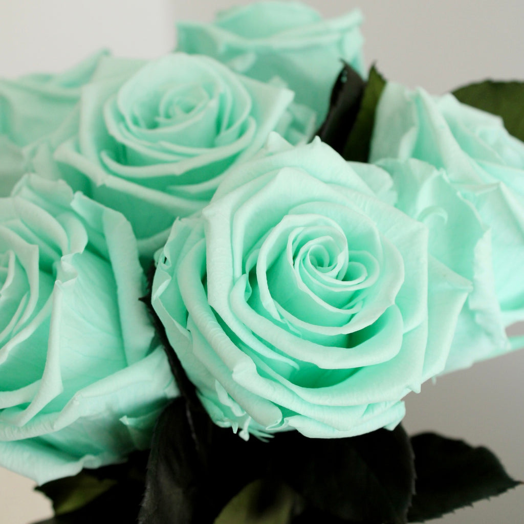 Mint green long stem infinity roses with soft, velvety petals in a serene pastel shade. The roses feature a natural, fresh appearance, showcasing their long-lasting beauty and elegance. Perfect for adding a unique and sophisticated touch to any arrangement or occasion.